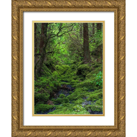 Forest near Cabeco Grodo Faial Island-an island in the Azores in the Atlantic Ocean  Gold Ornate Wood Framed Art Print with Double Matting by Zwick, Martin