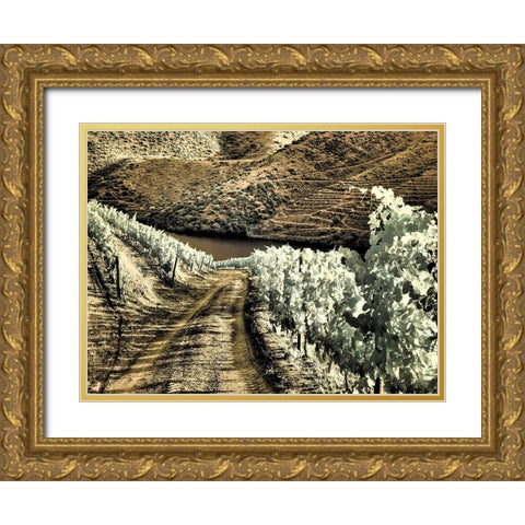 Portugal-Douro Valley-Backcountry road through the vineyards Gold Ornate Wood Framed Art Print with Double Matting by Eggers, Terry