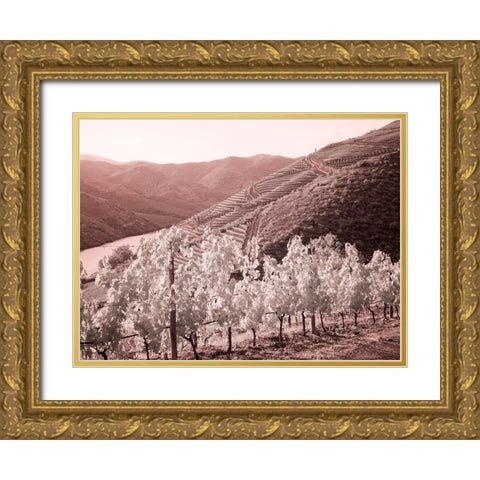 Portugal-Douro Valley-Vineyards draping the hills Gold Ornate Wood Framed Art Print with Double Matting by Eggers, Terry