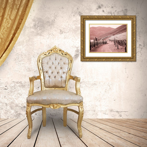 Portugal-Douro Valley-Backcountry road through the vineyards Gold Ornate Wood Framed Art Print with Double Matting by Eggers, Terry