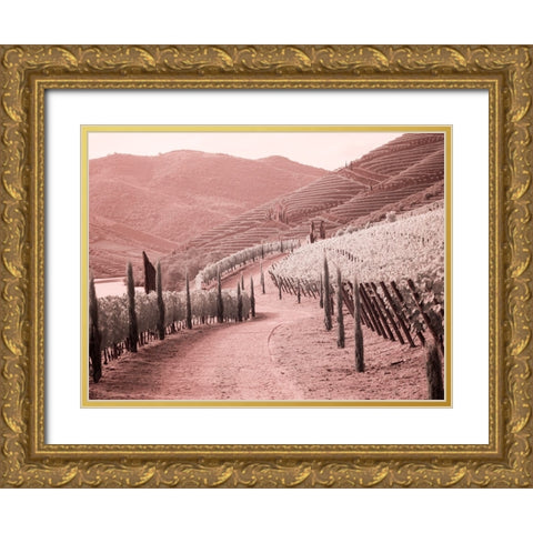 Portugal-Douro Valley-Backcountry road through the vineyards Gold Ornate Wood Framed Art Print with Double Matting by Eggers, Terry