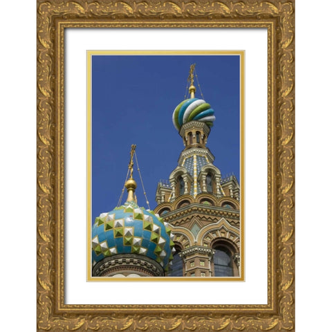 Russia Church of the Savior on the Spilled Blood Gold Ornate Wood Framed Art Print with Double Matting by Ross, Nancy ,  Steve