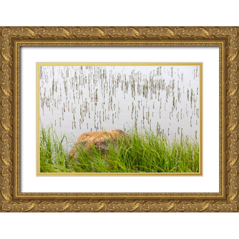 Plant and rock in the glacier river-Yttygran Island-Bering Sea-Russia Far East Gold Ornate Wood Framed Art Print with Double Matting by Su, Keren
