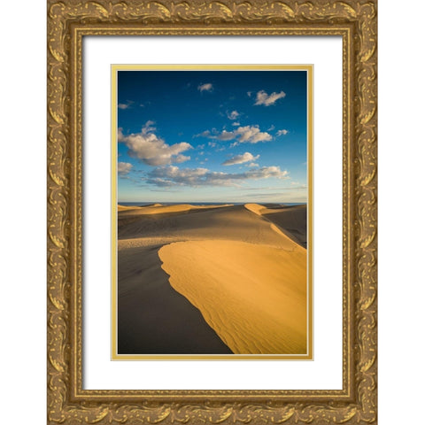 Spain-Canary Islands-Gran Canaria Island-Maspalomas-Maspalomas Dunes National Park Gold Ornate Wood Framed Art Print with Double Matting by Bibikow, Walter