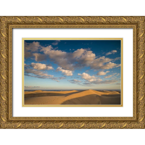 Spain-Canary Islands-Gran Canaria Island-Maspalomas-Maspalomas Dunes National Park Gold Ornate Wood Framed Art Print with Double Matting by Bibikow, Walter