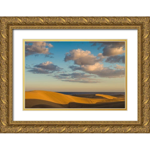 Spain-Canary Islands-Gran Canaria Island-Maspalomas-Maspalomas Dunes National Park Gold Ornate Wood Framed Art Print with Double Matting by Bibikow, Walter