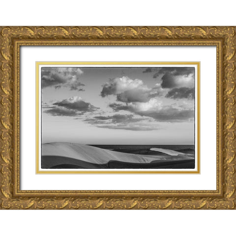Spain-Canary Islands-Gran Canaria Island-Maspalomas-Maspalomas Dunes National Park Gold Ornate Wood Framed Art Print with Double Matting by Bibikow, Walter