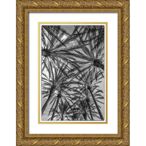 Spain-Canary Islands-Gran Canaria Island-Maspalomas-palm tree canopy Gold Ornate Wood Framed Art Print with Double Matting by Bibikow, Walter