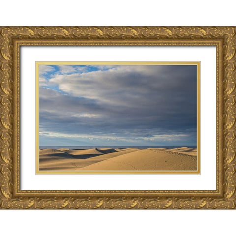 Spain-Canary Islands-Gran Canaria Island-Maspalomas-Maspalomas Dunes National Park Gold Ornate Wood Framed Art Print with Double Matting by Bibikow, Walter