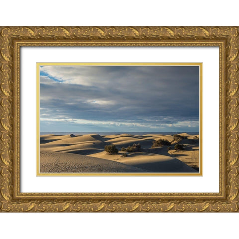 Spain-Canary Islands-Gran Canaria Island-Maspalomas-Maspalomas Dunes National Park Gold Ornate Wood Framed Art Print with Double Matting by Bibikow, Walter