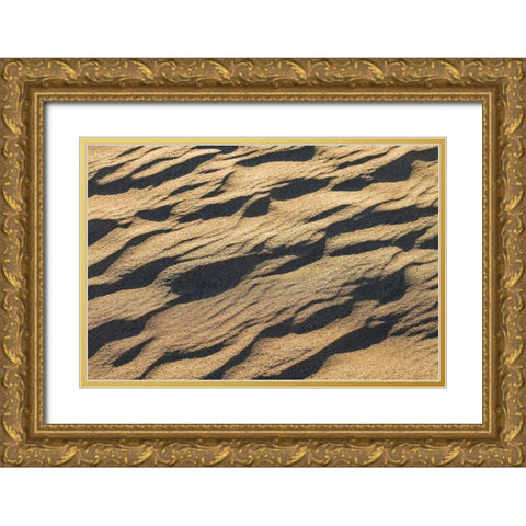 Spain-Canary Islands-Gran Canaria Island-Maspalomas-Maspalomas Dunes National Park Gold Ornate Wood Framed Art Print with Double Matting by Bibikow, Walter