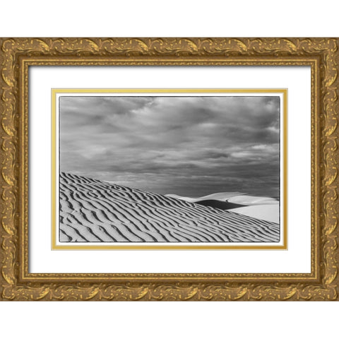 Spain-Canary Islands-Gran Canaria Island-Maspalomas-Maspalomas Dunes National Park Gold Ornate Wood Framed Art Print with Double Matting by Bibikow, Walter
