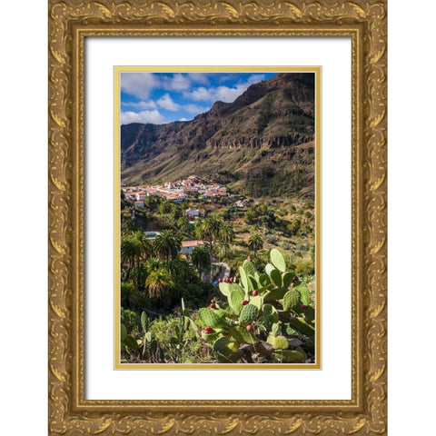 Spain-Canary Islands-Gran Canaria Island-Fataga-high angle village view Gold Ornate Wood Framed Art Print with Double Matting by Bibikow, Walter