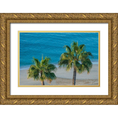 Canary Islands-Fuerteventura Island-Morro Jable-high angle view of Playa de la Cebada beach Gold Ornate Wood Framed Art Print with Double Matting by Bibikow, Walter