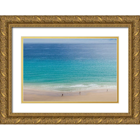 Canary Islands-Fuerteventura Island-Costa Calma-high angle view of Playa de Sotavento beach Gold Ornate Wood Framed Art Print with Double Matting by Bibikow, Walter
