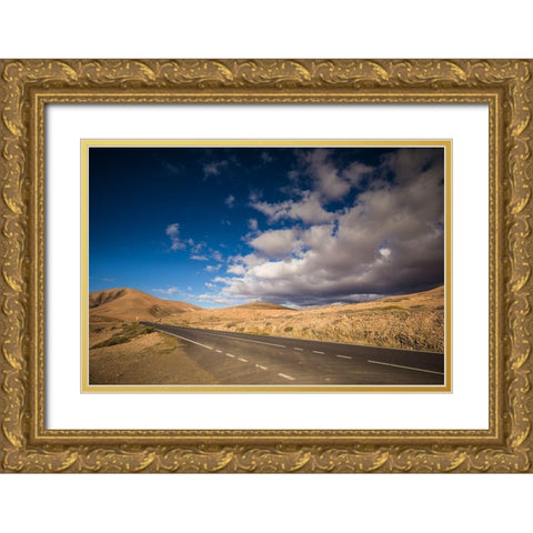 Canary Islands-Fuerteventura Island-Pajara-desert landscape along the FV-605 highway Gold Ornate Wood Framed Art Print with Double Matting by Bibikow, Walter