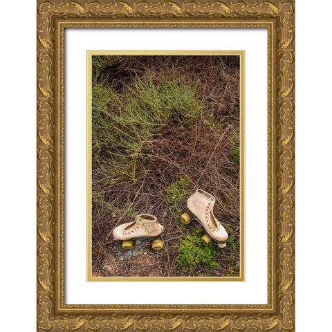 Canary Islands-Fuerteventura Island-Pajara-abandoned roller skates Gold Ornate Wood Framed Art Print with Double Matting by Bibikow, Walter
