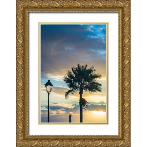 Canary Islands-Fuerteventura Island-Morro Jable-Playa del Matorral beach-palm tree-streetlight Gold Ornate Wood Framed Art Print with Double Matting by Bibikow, Walter