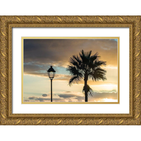 Canary Islands-Fuerteventura Island-Morro Jable-Playa del Matorral beach-palm tree Gold Ornate Wood Framed Art Print with Double Matting by Bibikow, Walter