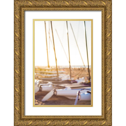 Canary Islands-Fuerteventura Island-Morro Jable-Playa del Matorral beach-sailboats Gold Ornate Wood Framed Art Print with Double Matting by Bibikow, Walter