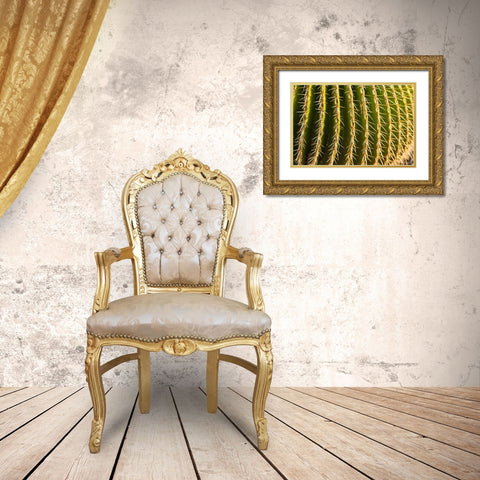 Canary Islands-Fuerteventura Island-Caleta de Fuste-beachfront cactus Gold Ornate Wood Framed Art Print with Double Matting by Bibikow, Walter