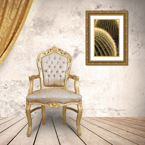 Canary Islands-Fuerteventura Island-Caleta de Fuste-beachfront cactus Gold Ornate Wood Framed Art Print with Double Matting by Bibikow, Walter