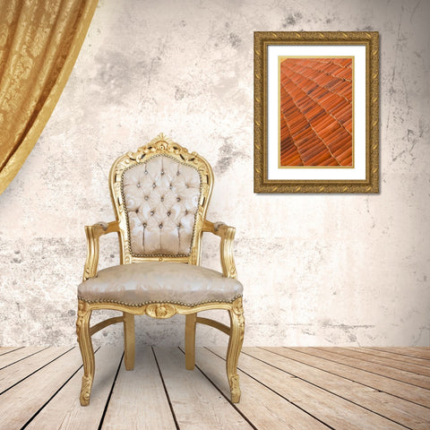 Canary Islands-Fuerteventura Island-La Oliva-Casa de los Coroneles-18th century Gold Ornate Wood Framed Art Print with Double Matting by Bibikow, Walter