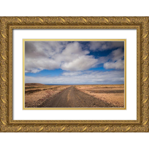 Canary Islands-Fuerteventura Island-Punto de Paso Chico-west coast desert landscape with road Gold Ornate Wood Framed Art Print with Double Matting by Bibikow, Walter