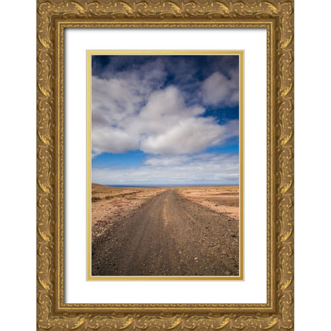 Canary Islands-Fuerteventura Island-Punto de Paso Chico-west coast desert landscape with road Gold Ornate Wood Framed Art Print with Double Matting by Bibikow, Walter