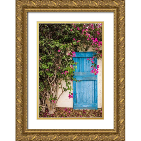 Canary Islands-Fuerteventura Island-La Oliva-blue door of garden shed Gold Ornate Wood Framed Art Print with Double Matting by Bibikow, Walter