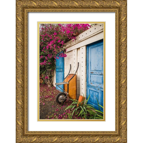 Canary Islands-Fuerteventura Island-La Oliva-blue door of garden shed Gold Ornate Wood Framed Art Print with Double Matting by Bibikow, Walter