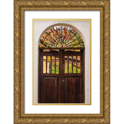 Canary Islands-La Palma Island-Santa Cruz de la Palma-persimmon fruit garden Gold Ornate Wood Framed Art Print with Double Matting by Bibikow, Walter