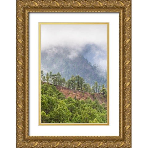 Canary Islands- Gold Ornate Wood Framed Art Print with Double Matting by Bibikow, Walter