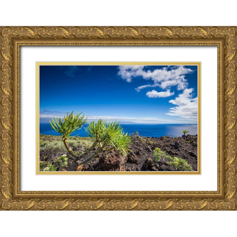 Canary Islands-La Palma Island-Fuencaliente de la Palma-Punta de Fuencaliente-volcanic landscape Gold Ornate Wood Framed Art Print with Double Matting by Bibikow, Walter