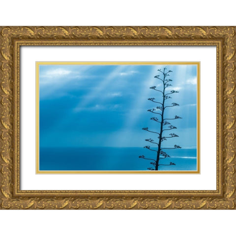 Canary Islands-La Palma Island-Santa Cruz de la Palma-dramatic sky and tree Gold Ornate Wood Framed Art Print with Double Matting by Bibikow, Walter