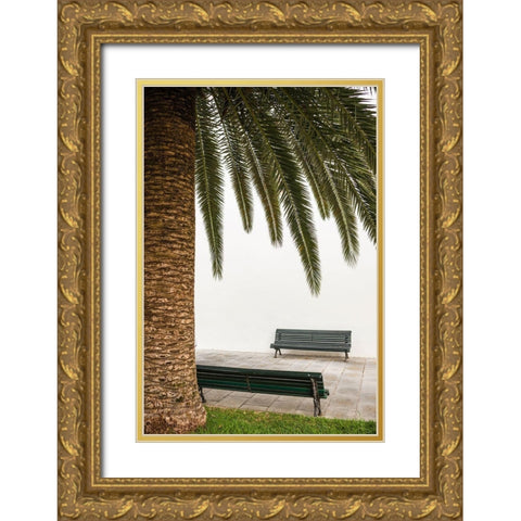 Canary Islands-La Palma Island-San Andres-detail of the village square Gold Ornate Wood Framed Art Print with Double Matting by Bibikow, Walter