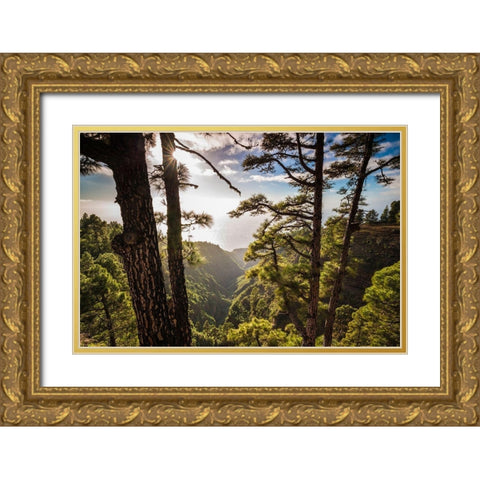 Canary Islands-La Palma Island-Mirador de Garome-elevated coastal view Gold Ornate Wood Framed Art Print with Double Matting by Bibikow, Walter