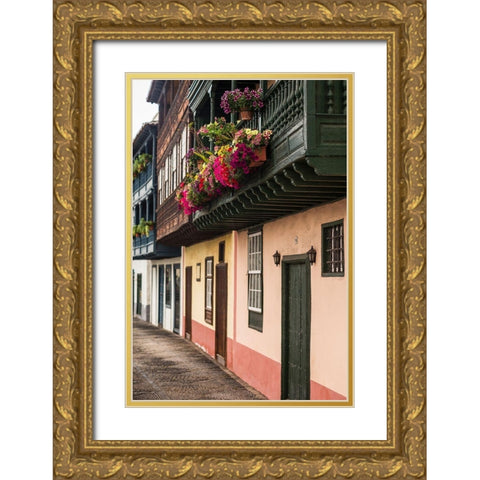 Canary Islands-La Palma Island-Santa Cruz de la Palma-traditional Canarian house balconies Gold Ornate Wood Framed Art Print with Double Matting by Bibikow, Walter