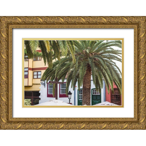 Canary Islands-La Palma Island-Santa Cruz de la Palma-palm tree Gold Ornate Wood Framed Art Print with Double Matting by Bibikow, Walter