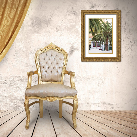 Canary Islands-La Palma Island-Santa Cruz de la Palma-palm tree Gold Ornate Wood Framed Art Print with Double Matting by Bibikow, Walter