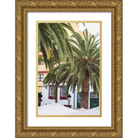 Canary Islands-La Palma Island-Santa Cruz de la Palma-palm tree Gold Ornate Wood Framed Art Print with Double Matting by Bibikow, Walter