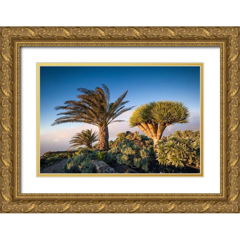 Canary Islands-El Hierro Island-Guarazoca-Mirador de la Pena Gold Ornate Wood Framed Art Print with Double Matting by Bibikow, Walter