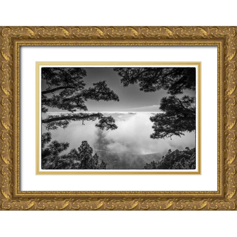 Canary Islands-El Hierro Island-Mirador de las Playas-elevated view of the east coast with fog Gold Ornate Wood Framed Art Print with Double Matting by Bibikow, Walter