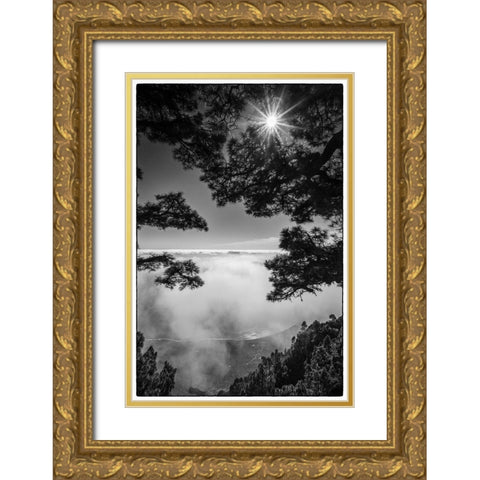 Canary Islands-El Hierro Island-Mirador de las Playas-elevated view of the east coast with fog Gold Ornate Wood Framed Art Print with Double Matting by Bibikow, Walter
