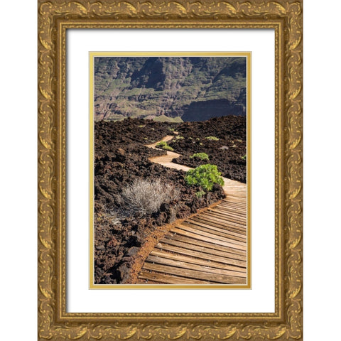 Canary Islands-El Hierro Island-Las Puntas-La Maceta-coastal walkway Gold Ornate Wood Framed Art Print with Double Matting by Bibikow, Walter