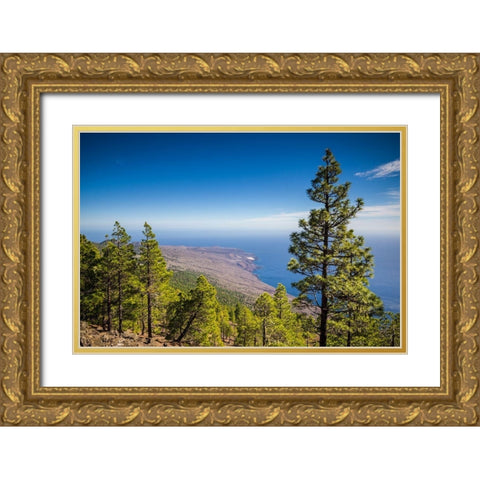 Canary Islands-El Hierro Island-Malpaso Mountain-elevation 1503 meters Gold Ornate Wood Framed Art Print with Double Matting by Bibikow, Walter