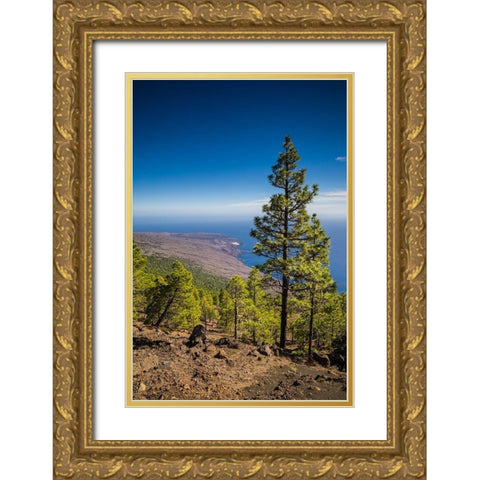 Canary Islands-El Hierro Island-Malpaso Mountain-elevation 1503 meters Gold Ornate Wood Framed Art Print with Double Matting by Bibikow, Walter