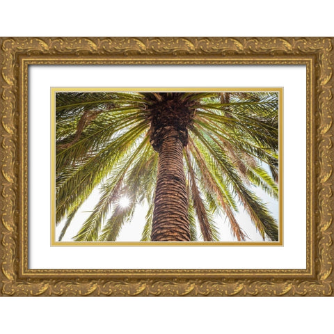 Canary Islands-Tenerife Island-Masca-palm tree Gold Ornate Wood Framed Art Print with Double Matting by Bibikow, Walter