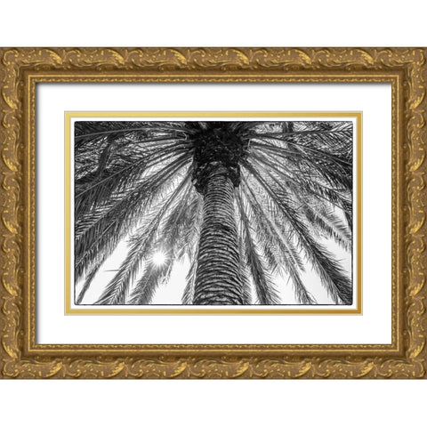 Canary Islands-Tenerife Island-Masca-palm tree Gold Ornate Wood Framed Art Print with Double Matting by Bibikow, Walter