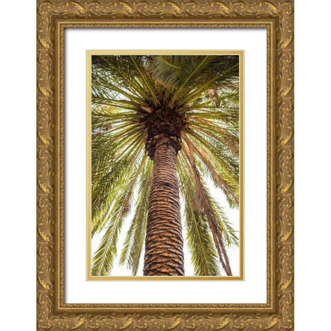 Canary Islands-Tenerife Island-Masca-palm tree Gold Ornate Wood Framed Art Print with Double Matting by Bibikow, Walter